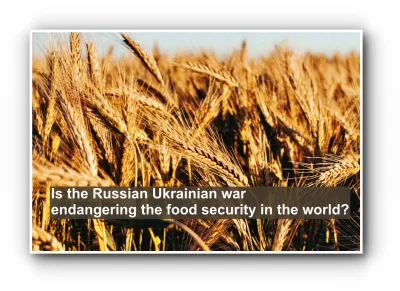 Is the Russian Ukrainian war endangering the food security in the world?